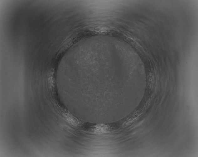 X0000076030612200610061420