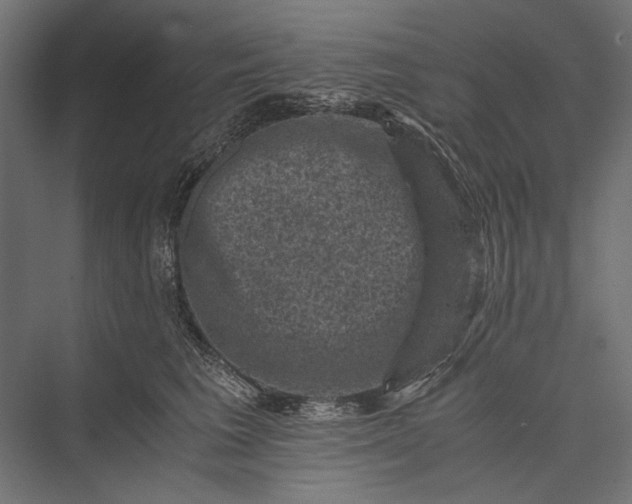 X0000076030613200610061420