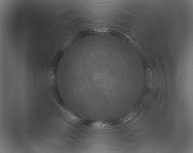 X0000076030614200610061420