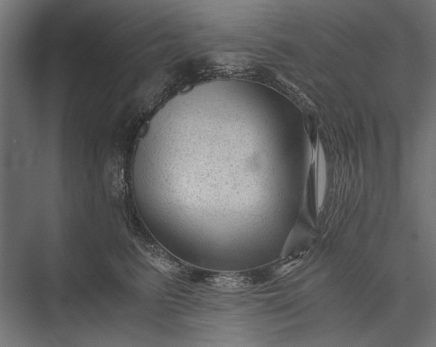 X0000076030615200610061420