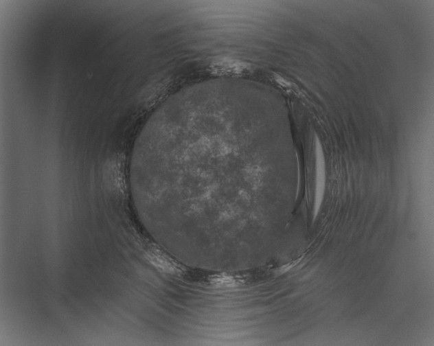 X0000076030616200610061420