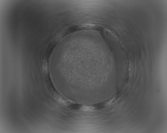 X0000076030617200610061420