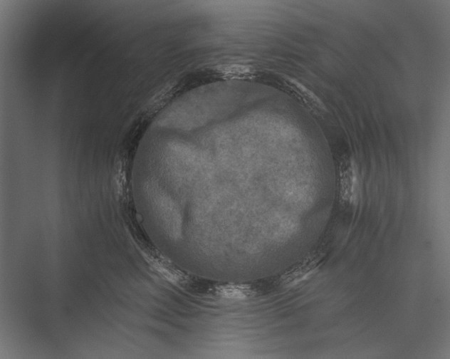 X0000076030618200610061420