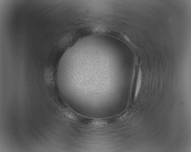 X0000076030619200610061420