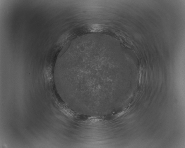 X0000076030620200610061420