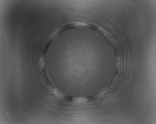 X0000076030621200610061420