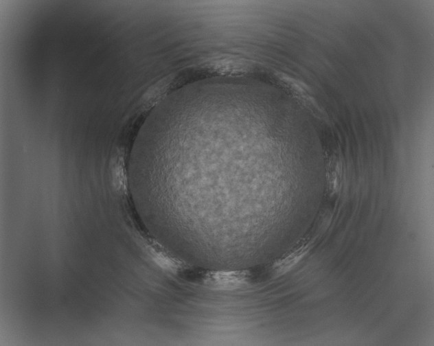 X0000076030622200610061420