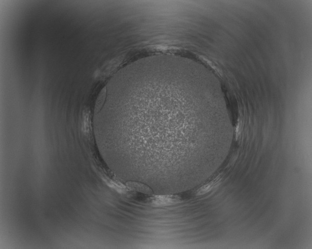 X0000076030623200610061420