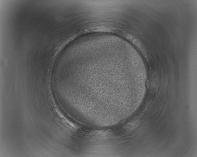 X0000076030625200610061419