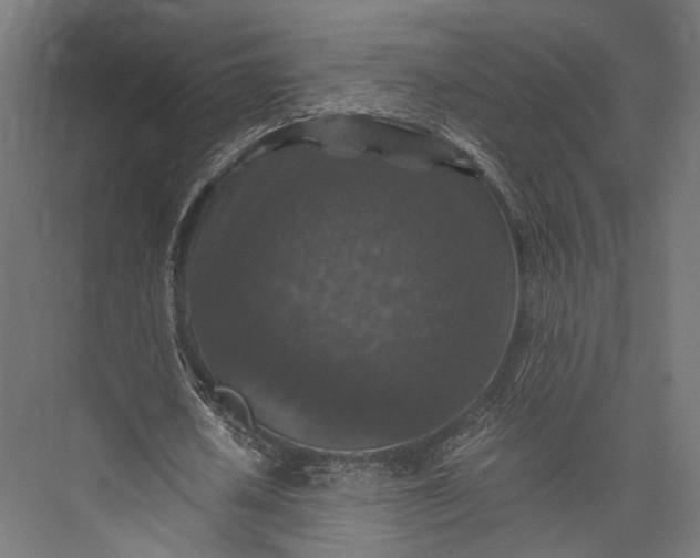 X0000076030626200610061419