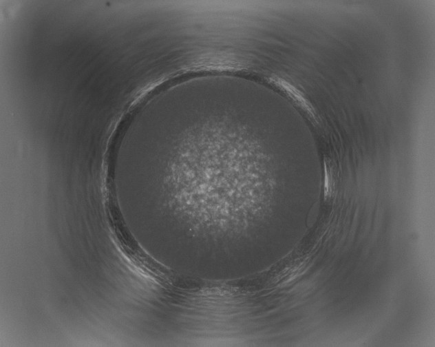 X0000076030627200610061419