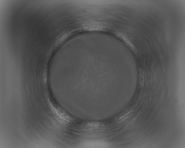 X0000076030631200610061419