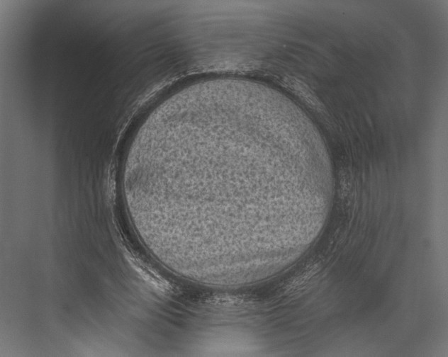 X0000076030632200610061419