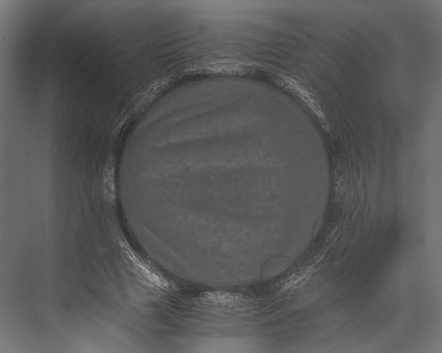 X0000076030633200610061419