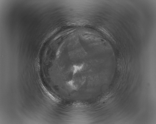 X0000076030634200610061419