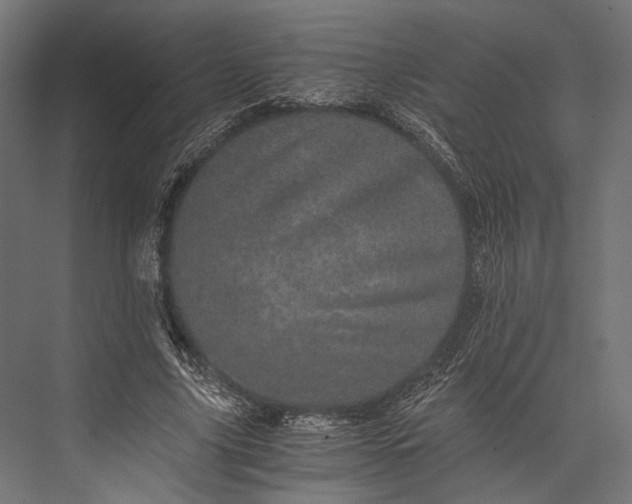 X0000076030635200610061419