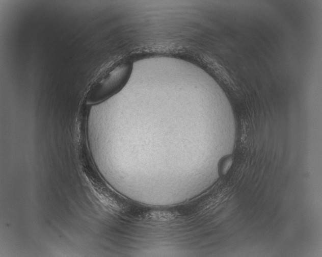 X0000076030636200610061419