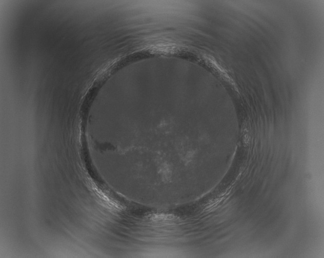 X0000076030637200610061419