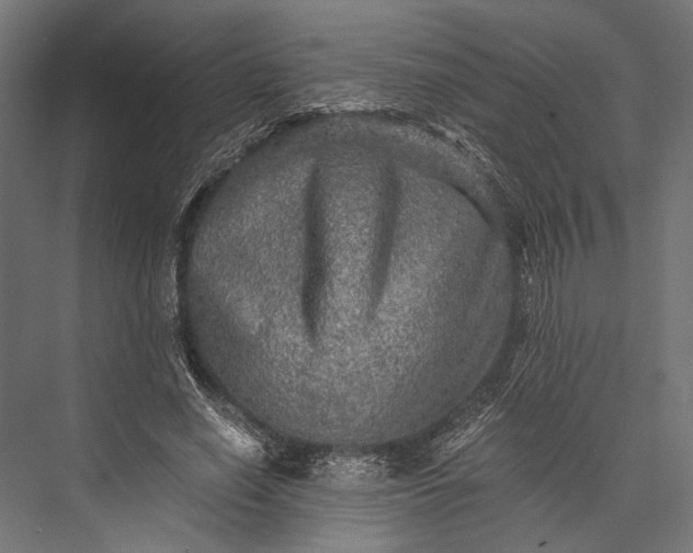 X0000076030638200610061419