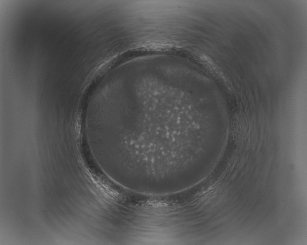 X0000076030640200610061419