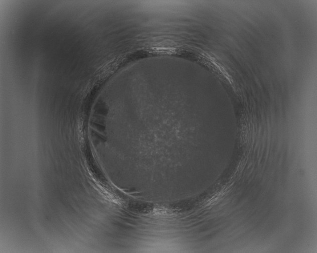 X0000076030641200610061419