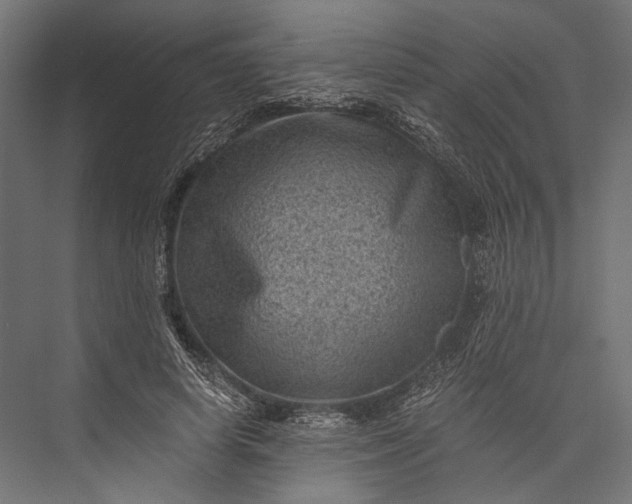 X0000076030642200610061419