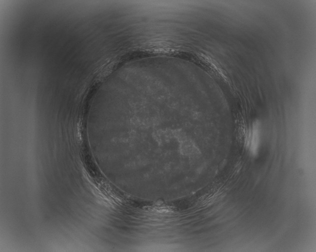 X0000076030643200610061419