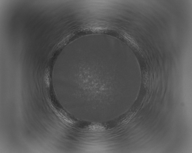 X0000076030644200610061419