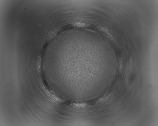 X0000076030645200610061419