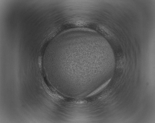 X0000076030646200610061419