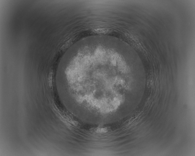 X0000076030647200610061419