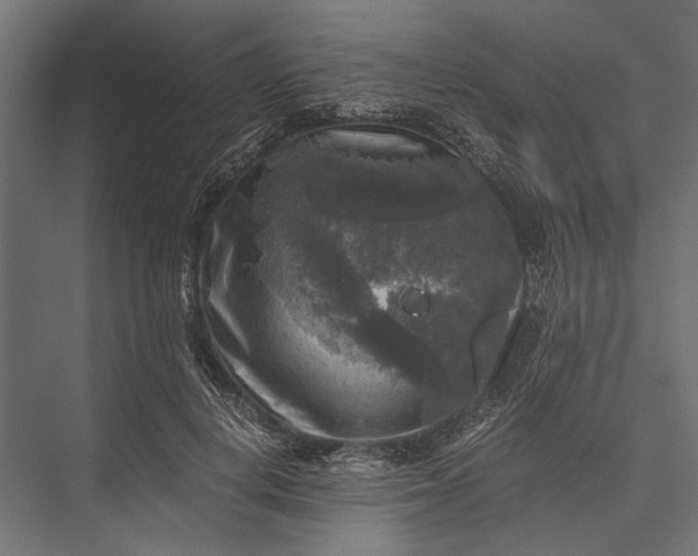 X0000076030648200610061419