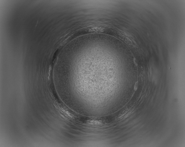 X0000076030649200610061419