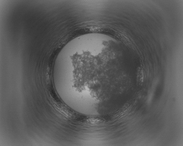 X0000076030650200610061419