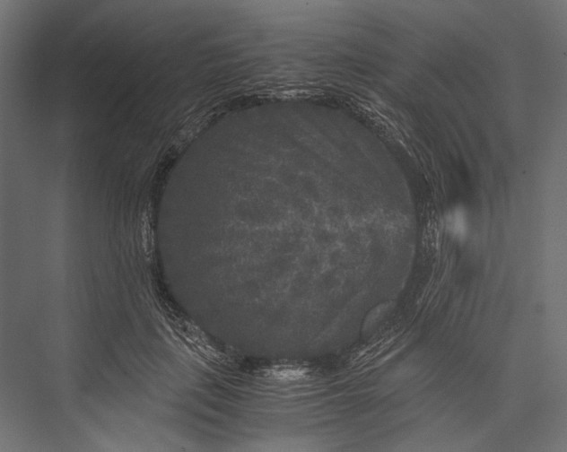 X0000076030651200610061419