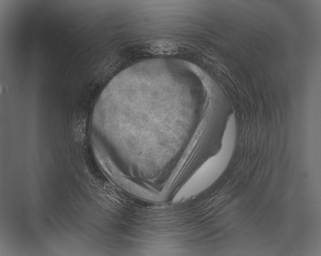 X0000076030652200610061419