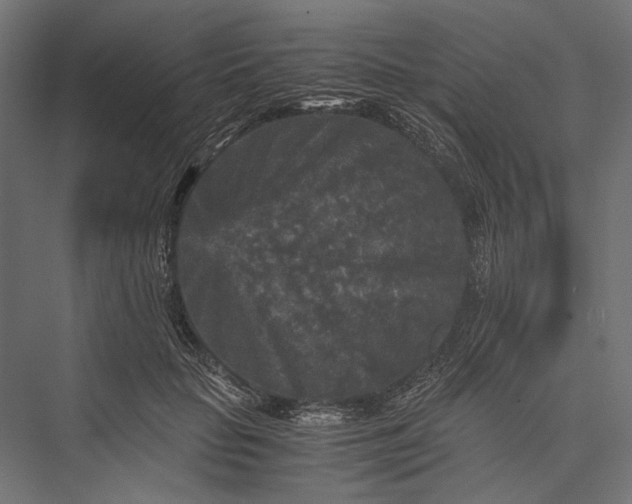 X0000076030653200610061419