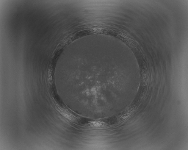 X0000076030654200610061419