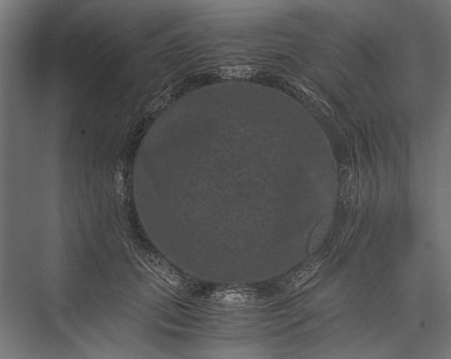 X0000076030655200610061419