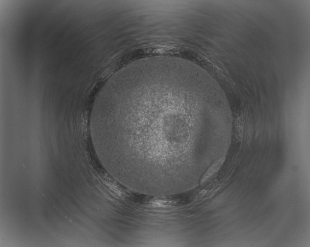 X0000076030657200610061419