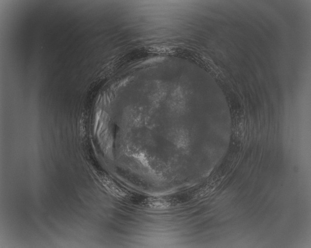 X0000076030658200610061419