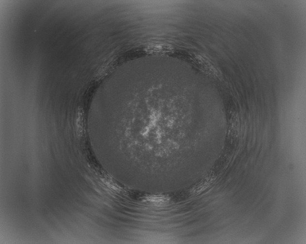 X0000076030659200610061419