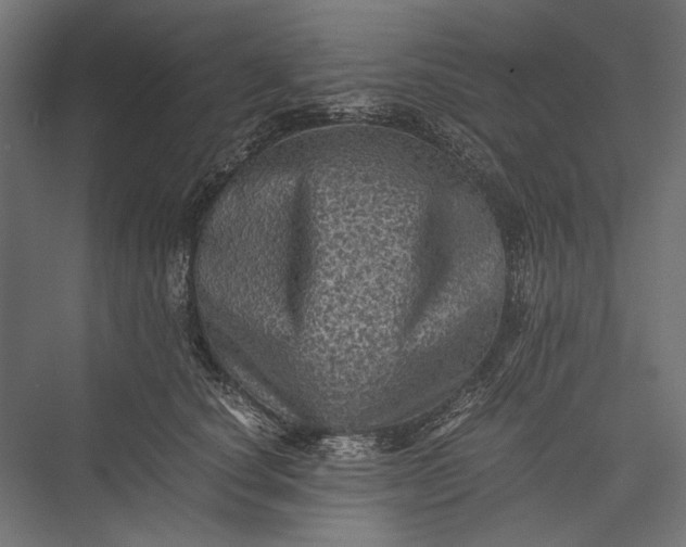 X0000076030660200610061419