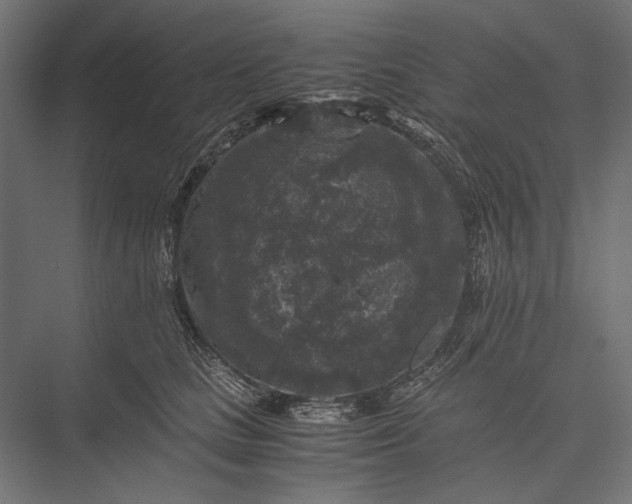 X0000076030661200610061419