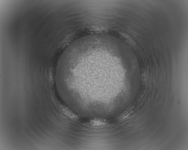 X0000076030662200610061419