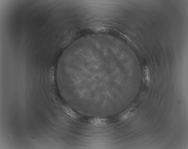 X0000076030664200610061419