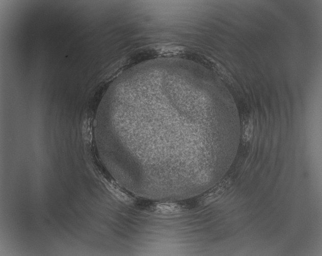 X0000076030666200610061419