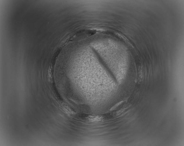 X0000076030667200610061419