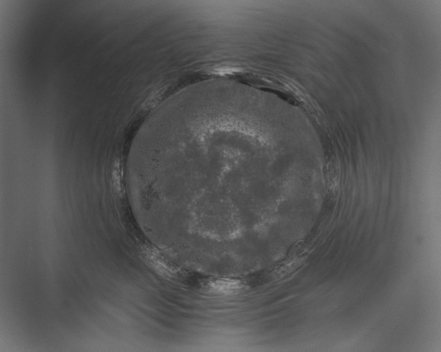 X0000076030669200610061419