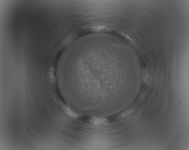 X0000076030670200610061419